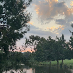 Meet your Posher, Eden